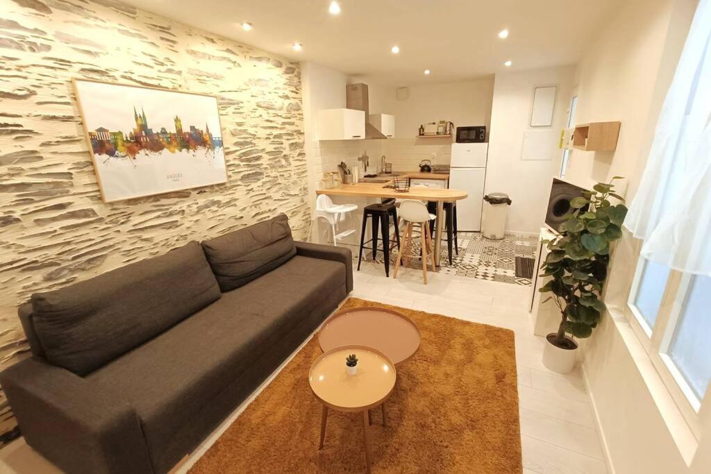 Apartamento Douceurs Angevine Angers